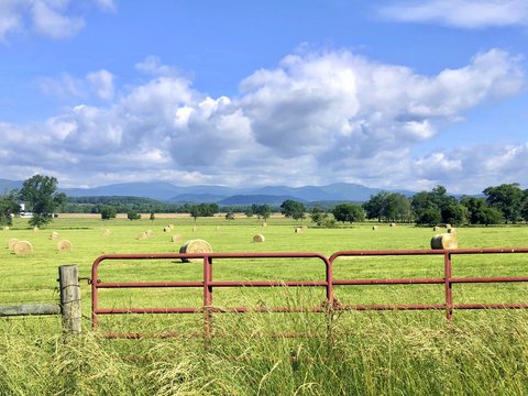 Red farm gate in front of a hayfield with round bales, distant mountains and white clouds