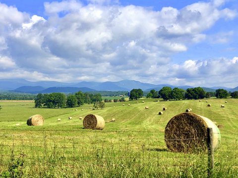 Round hay bales in a mown field below the mountains under big white clouds