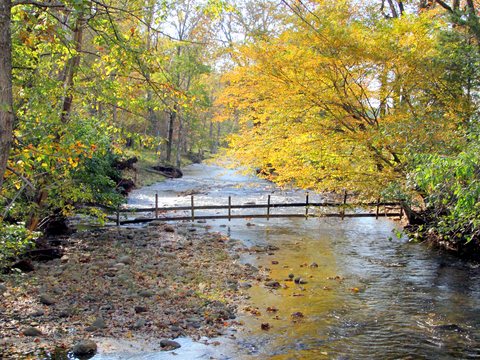 Creek running over rocks through woods with yellow and orange fall leaves
