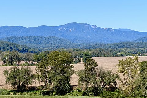 Blue Ridge Mountains above a golden field and a green lawn