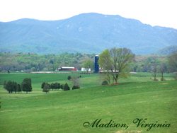 Madison Virginia Farm For Sale