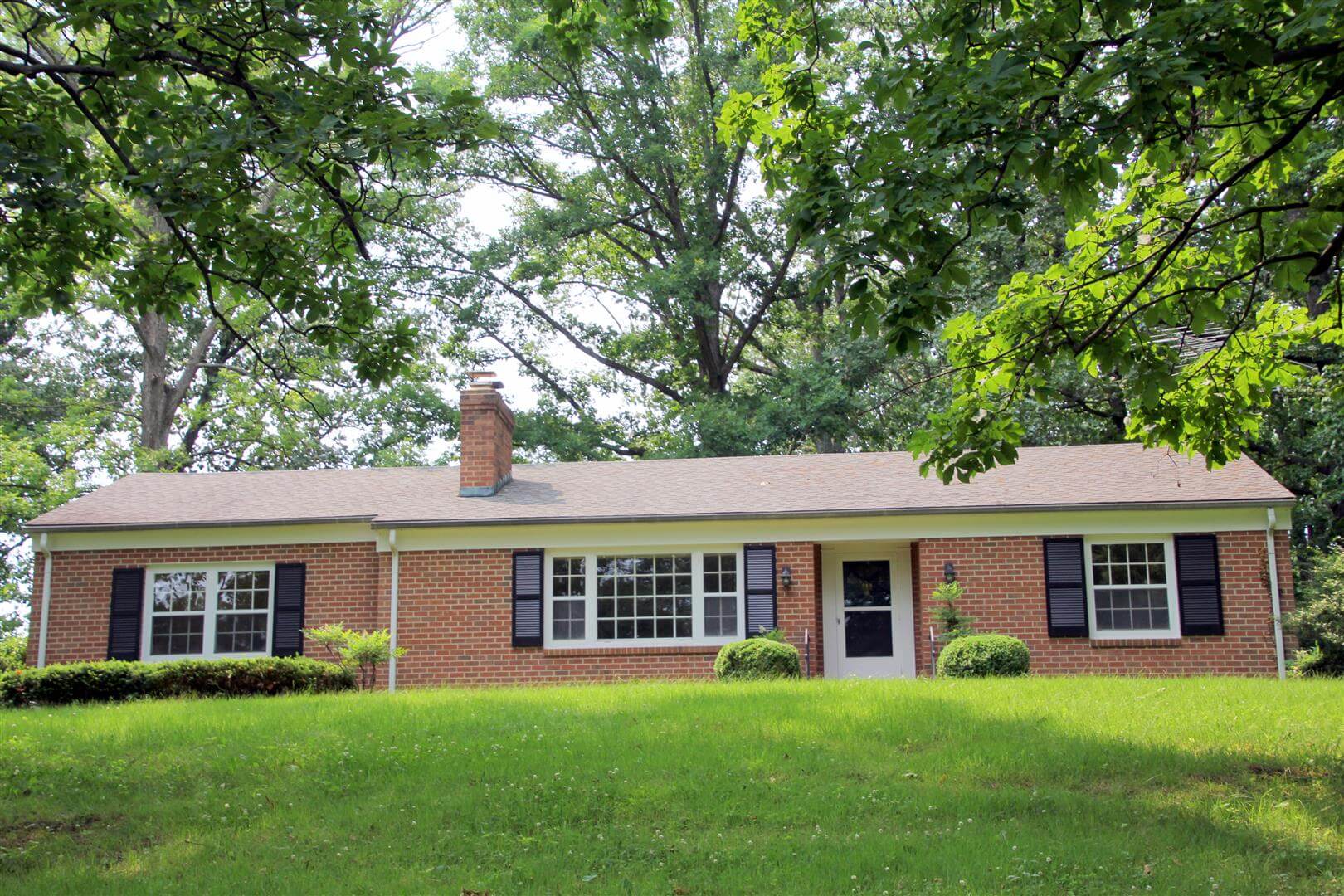 Patti Lillard, Realtor Madison VA Real Estate Montegue, Miller & Co